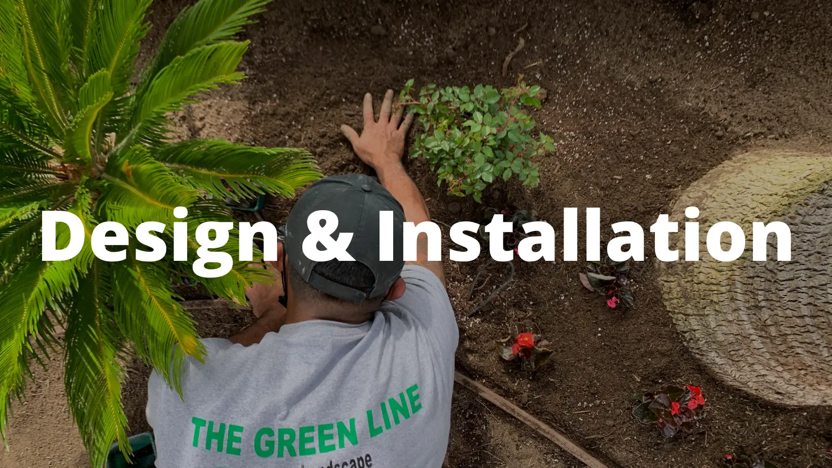 THE GREEN LINE logo
